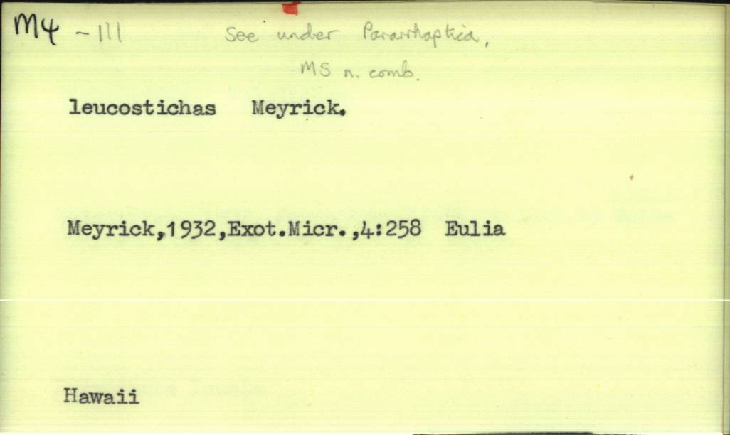 front of card